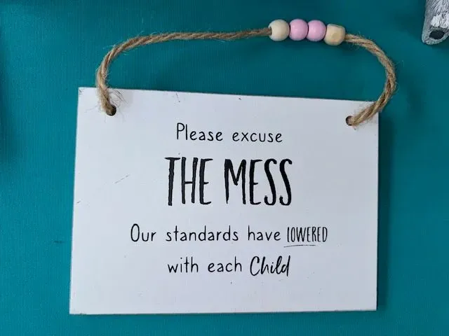 8219076719589-g9x2p0b7adtp4972katnok-The-Mess-Sign thumbnail image