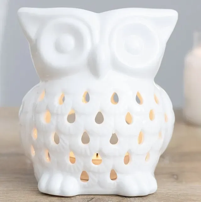 8219504813934-dhvktohgoj6ehkxzkm24l-White-owl-burner thumbnail image