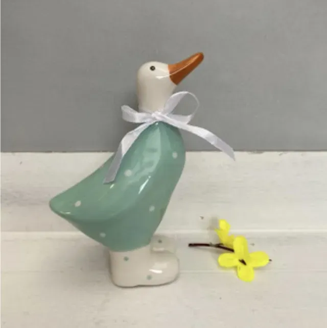 8219574308304-yxrrx4b4p6tstrrhto5nd-Medium-green-duck-white-spots thumbnail image