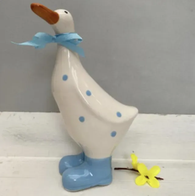 8219574435457-jar0ojvkr08on16pi9oxn-Large-duck-blue-spots thumbnail image