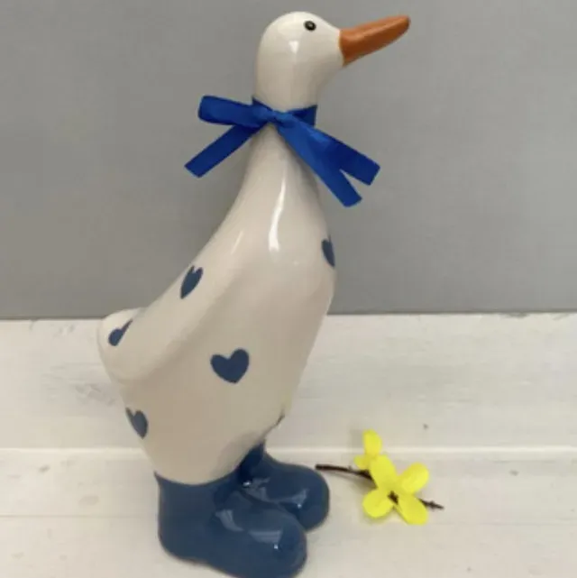 8219574540322-6b93c1vqeiit7e22o655ck-Large-duck-blue-hearts thumbnail image