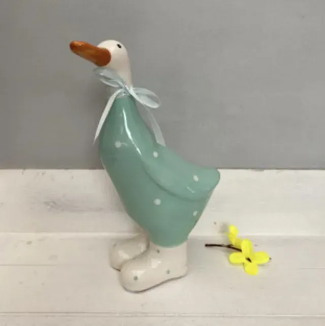 8219574931078-93tu7oxpwo5d7510dhiqx-Large-green-duck-white-spots thumbnail image