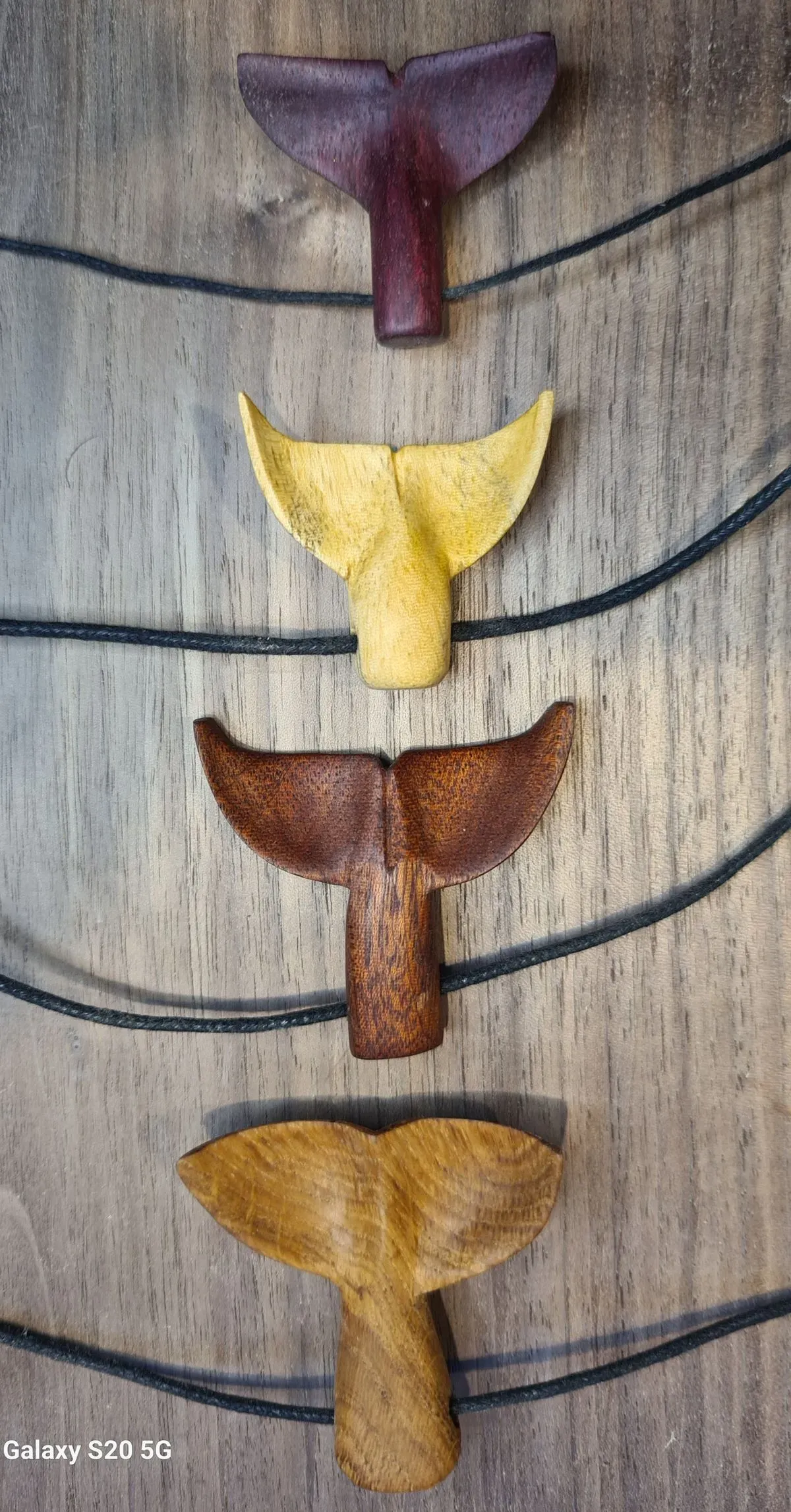 20251229-151449 collection background image