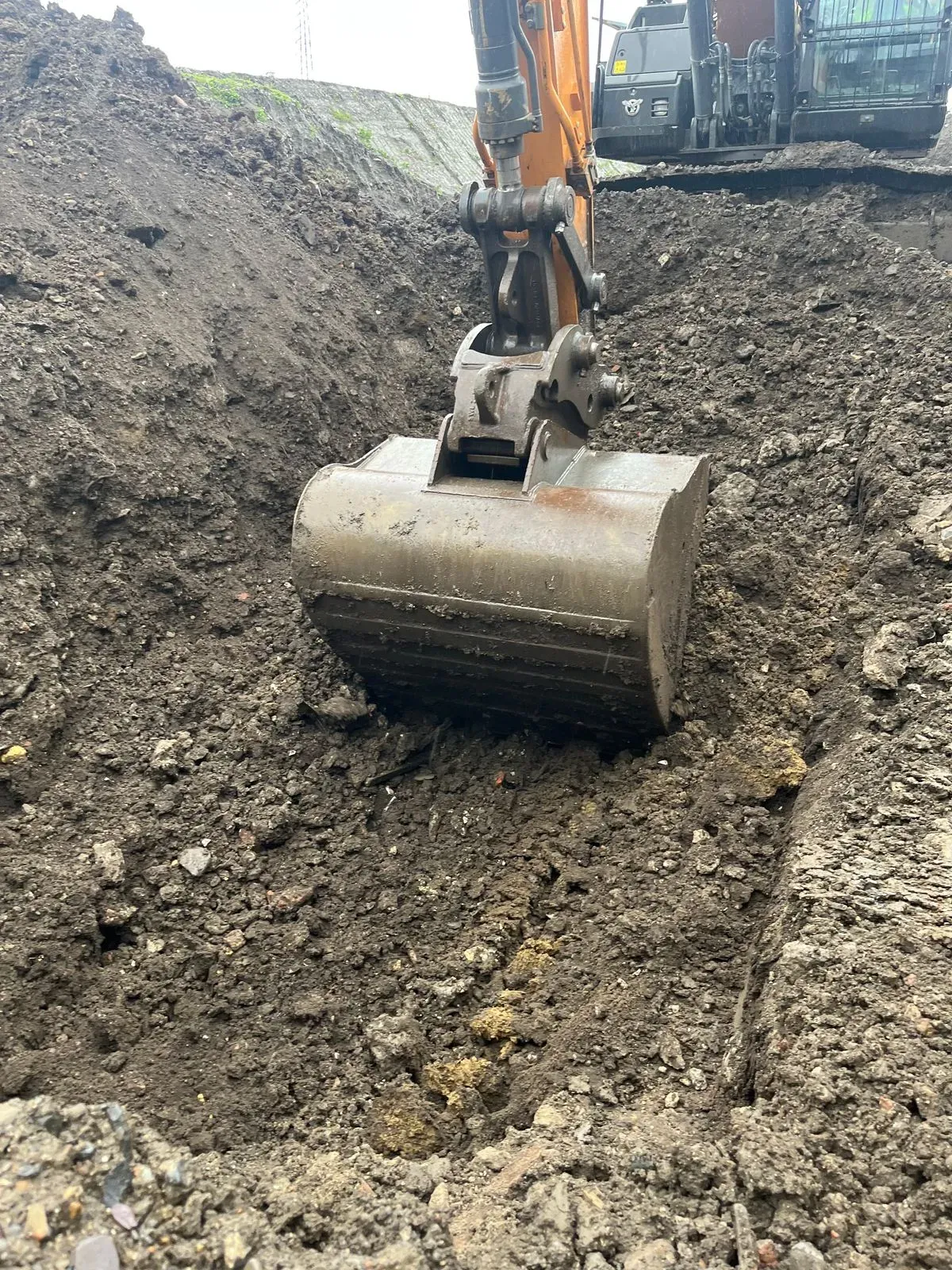 Descriptive text for the image