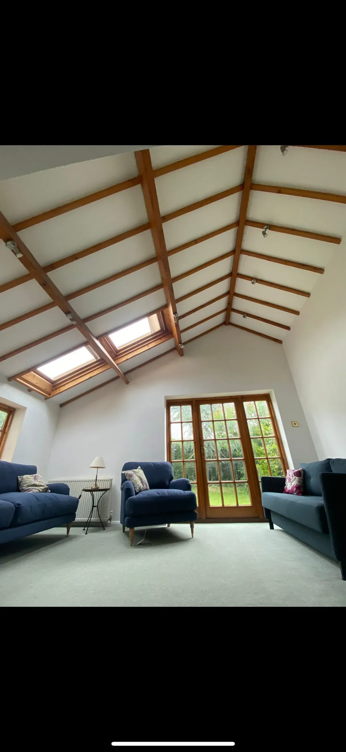 Ceiling and cornice painting image