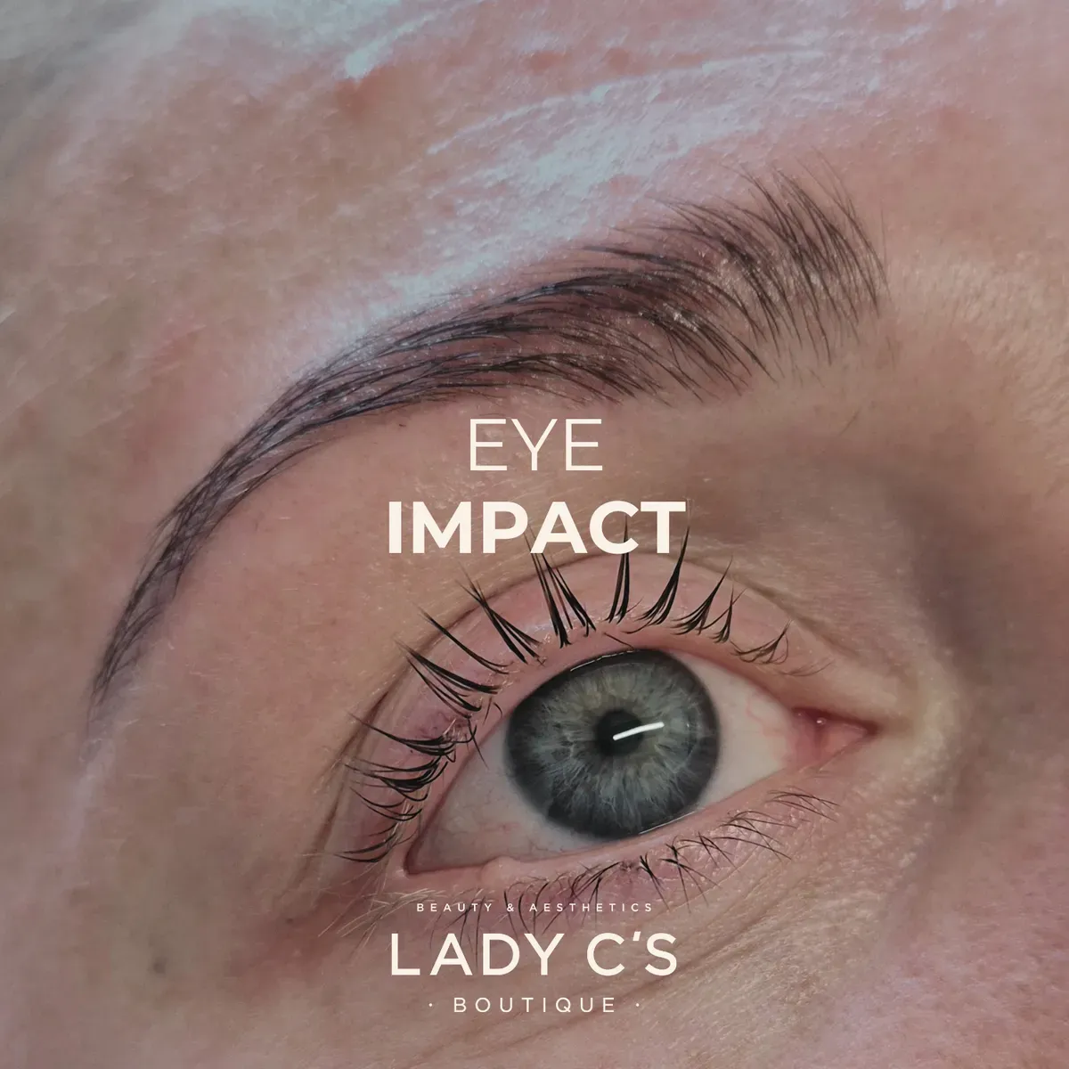 Descriptive text for the image