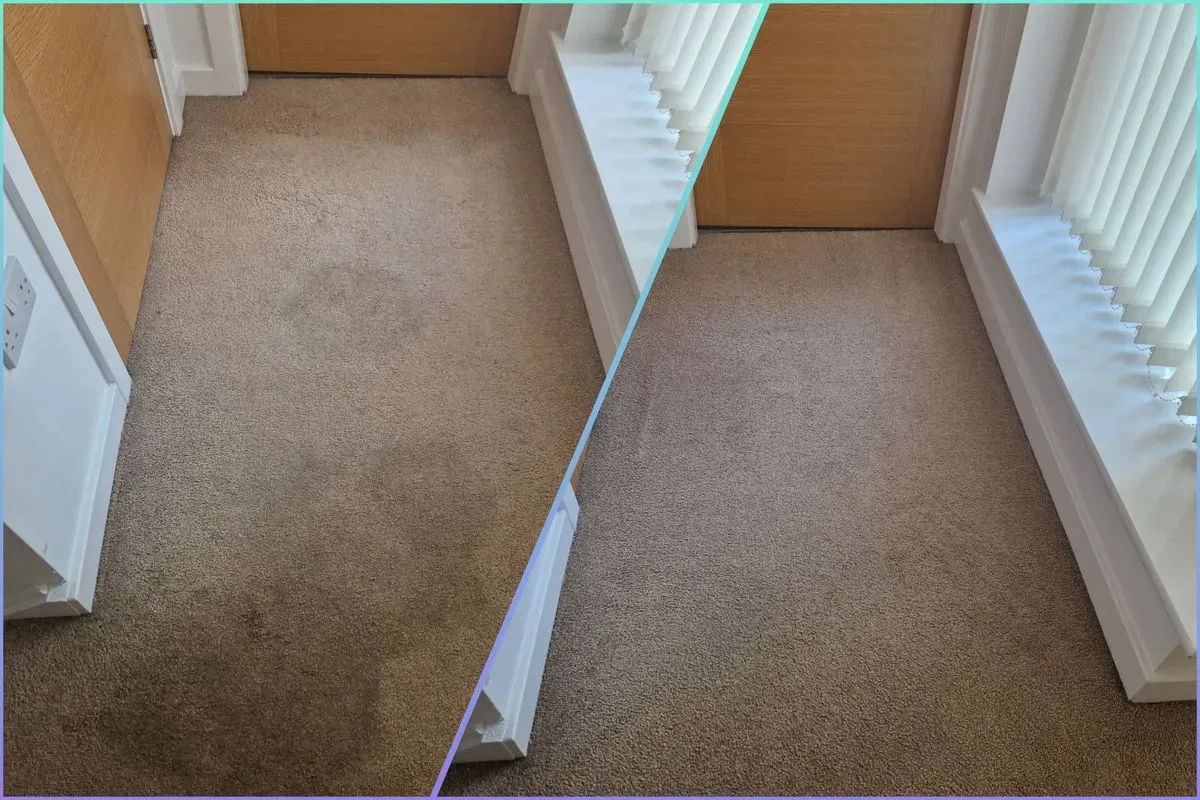Carpet Sanitisation image background image