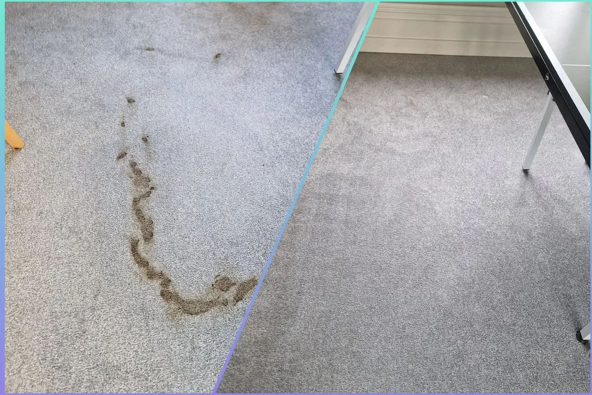 Stain Removal image background image