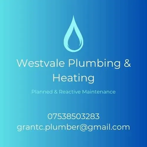 Descriptive text for the image