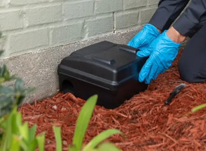 Rodent Control Solutions image background image