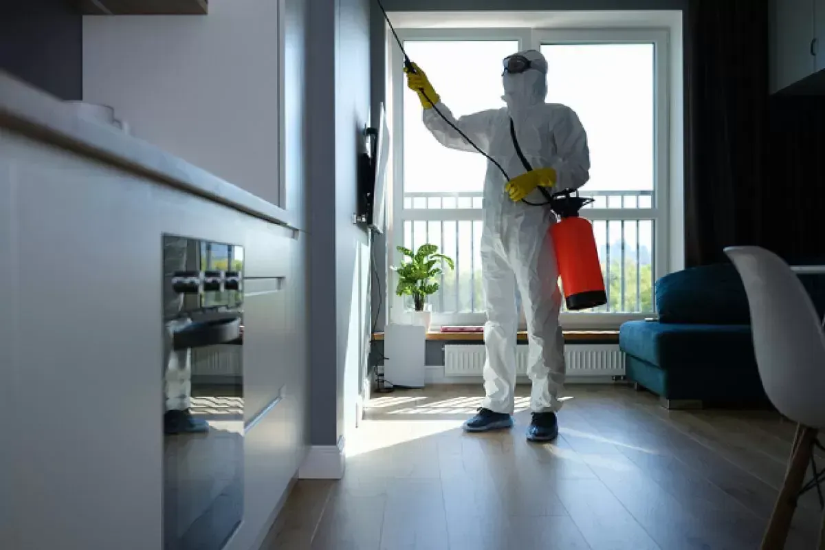 Residential Pest Control image background image