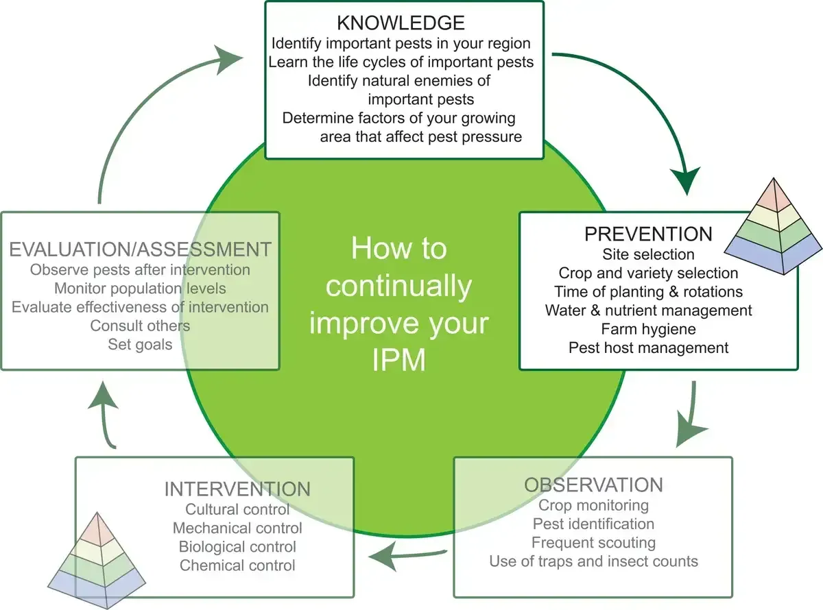 Preventative Pest Maintenance image background image
