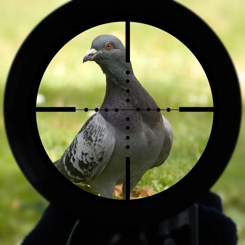 Bird Control and Proofing image background image