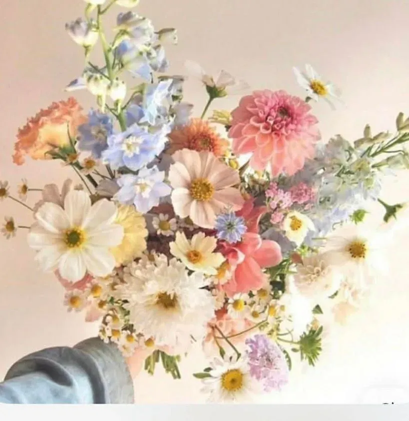 undefined thumbnail image