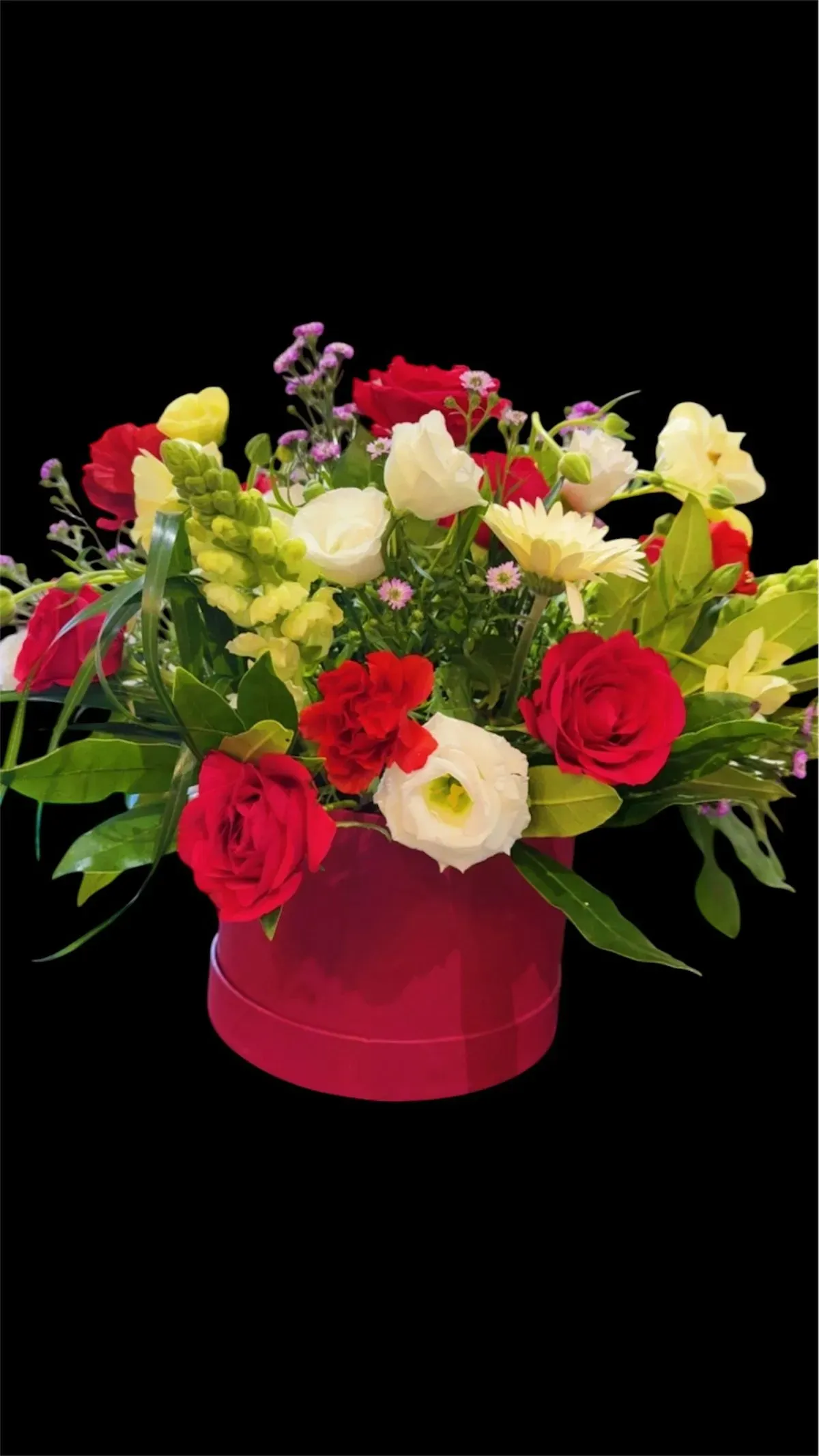 8223635392199-j5p62o602rkn96l7f6bts-Photoroom-20260416-193236 thumbnail image