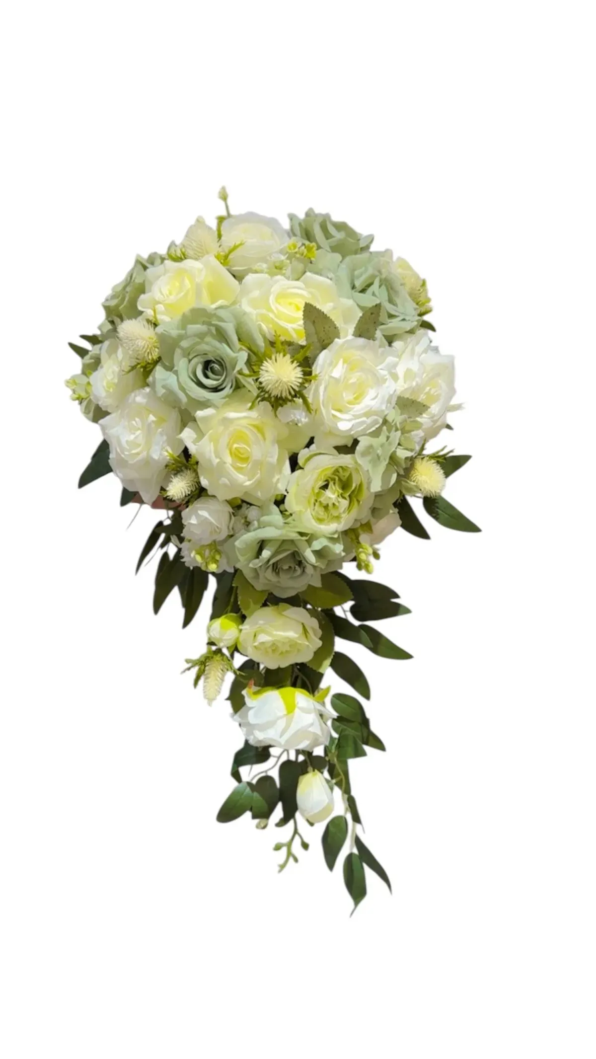 8229540760697-hv98uze2v0fzij87g79me-Photoroom-20260105-212042 thumbnail image