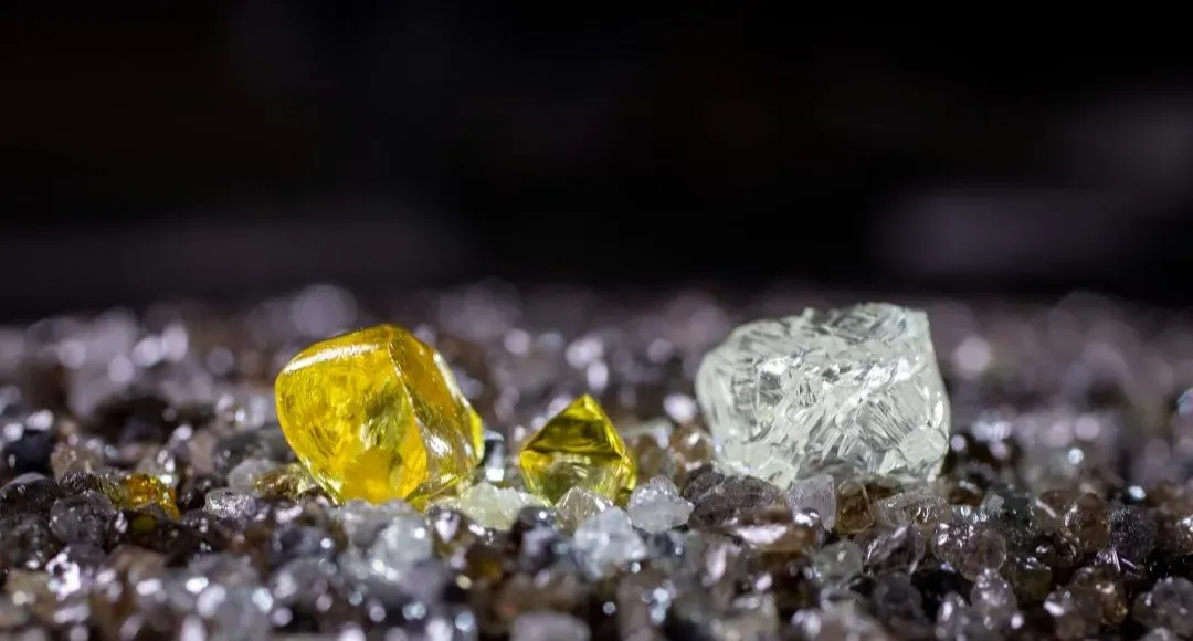 Descriptive text for the image