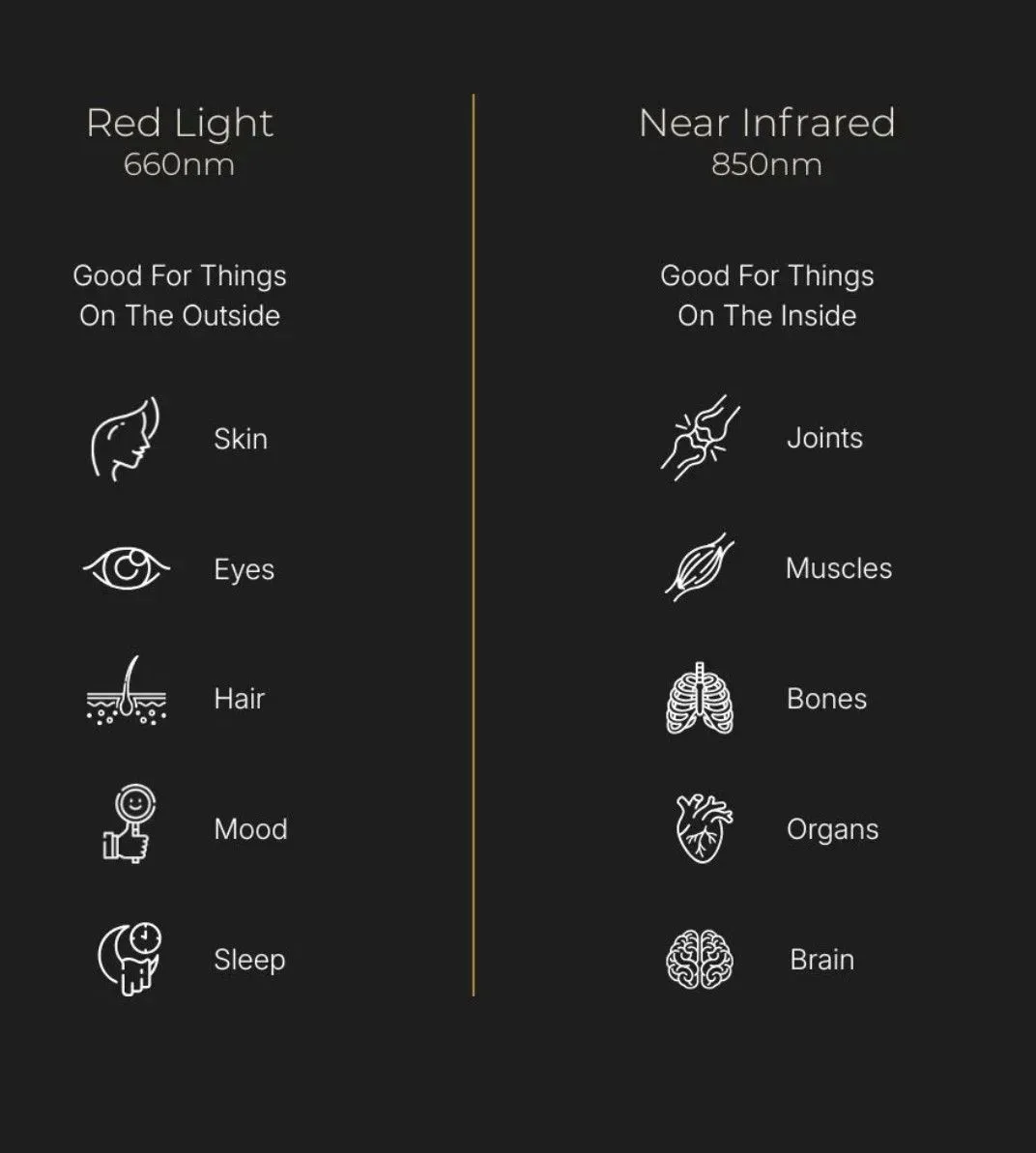 Descriptive text for the image