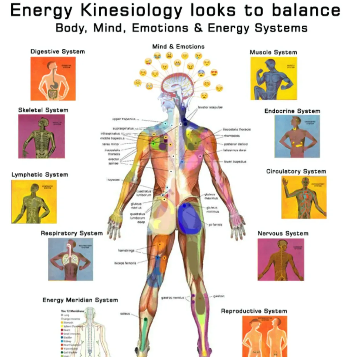 Kinesiology image background image