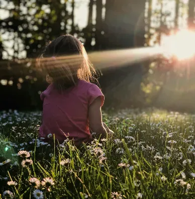 Descriptive text for the image