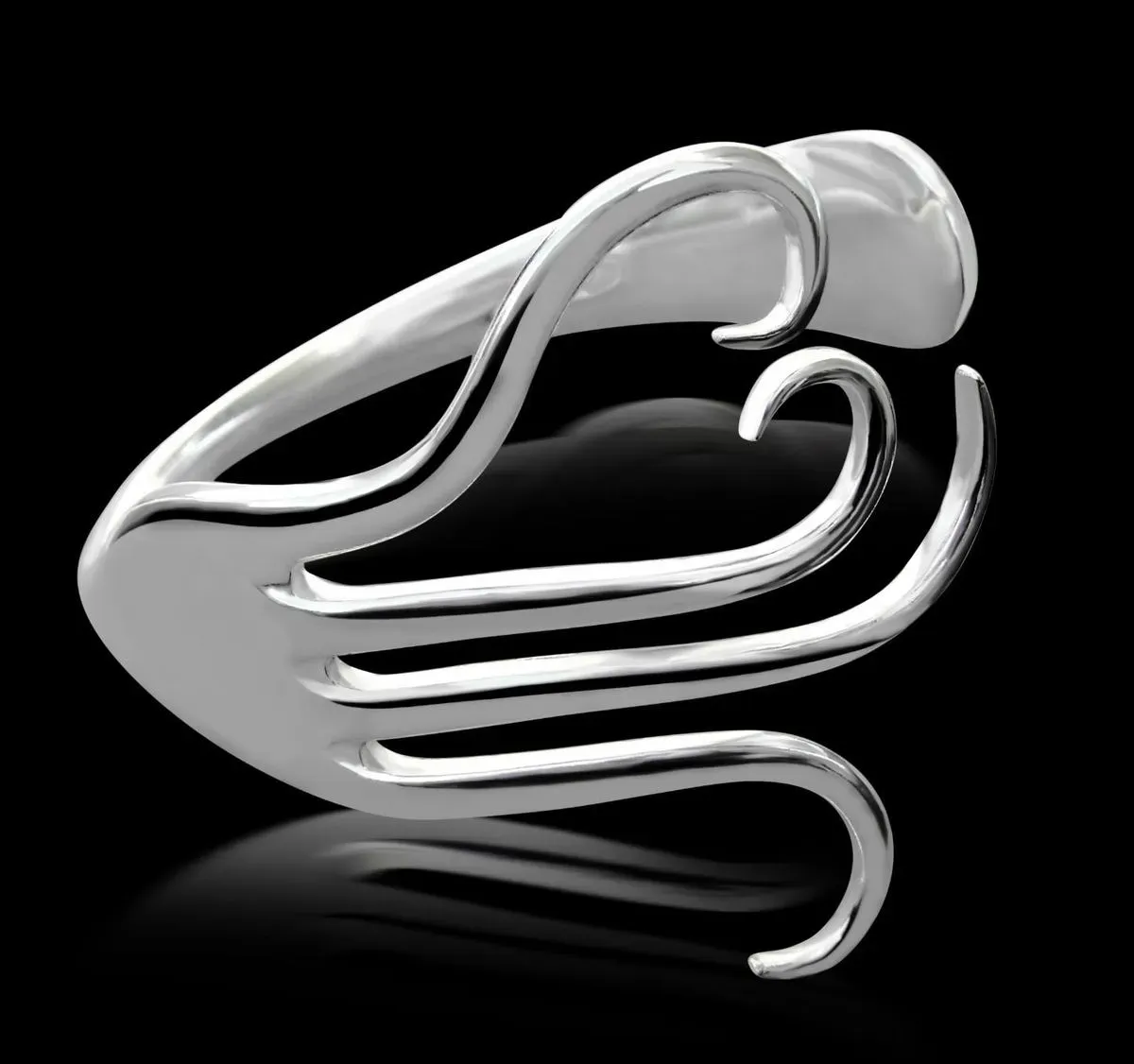 Descriptive text for the image