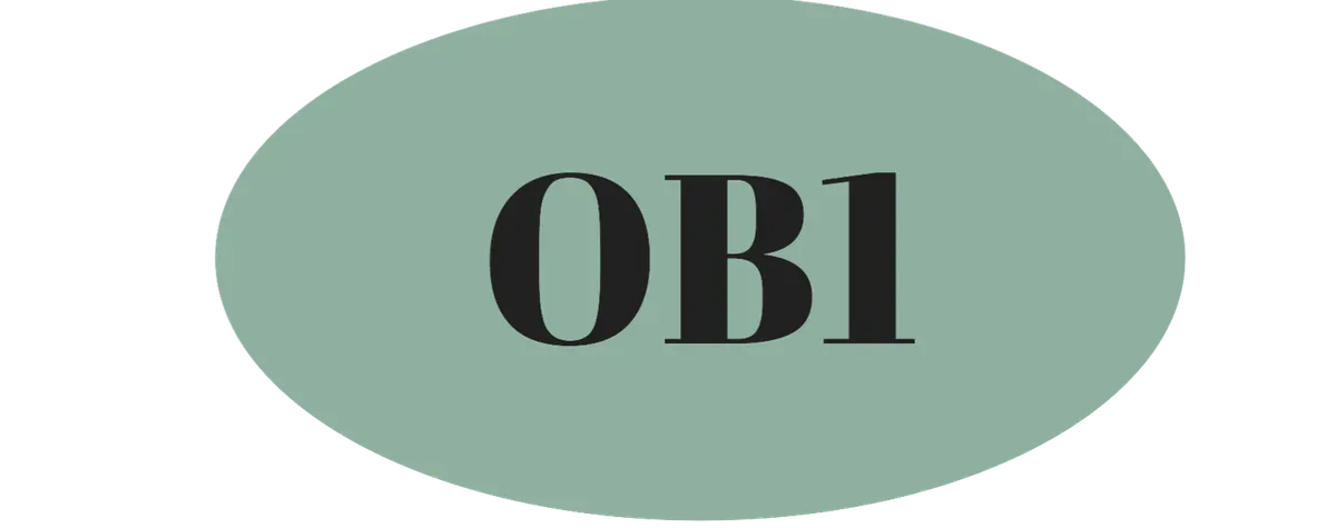 OB1 Plumbing and Property Maintenance  logo