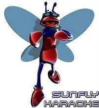 8223979745086-oinjej2g98knm8ks4qo18-sunfly-hits collection background image