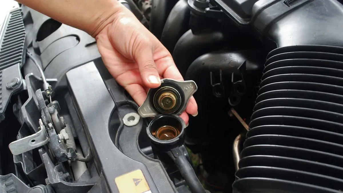 Descriptive text for the image