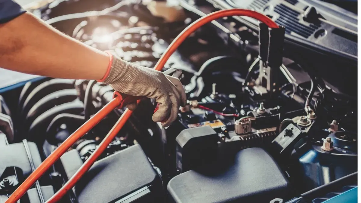 Descriptive text for the image