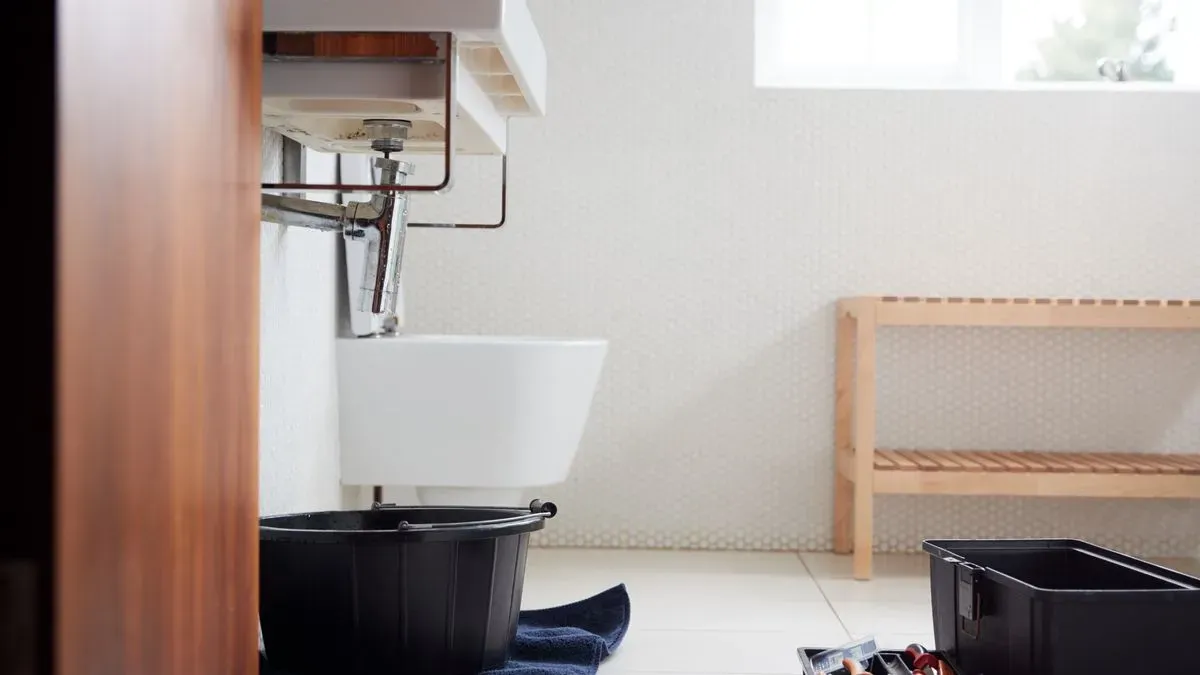 Descriptive text for the image