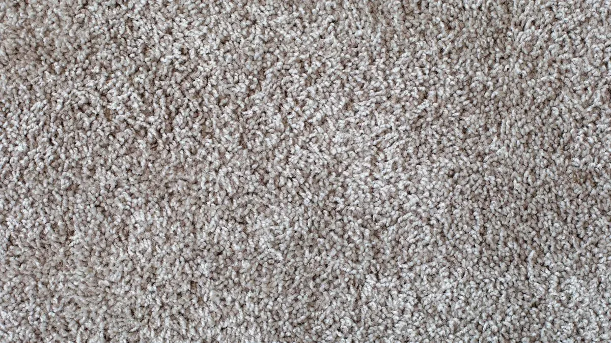 Old carpet removal and disposal image background image