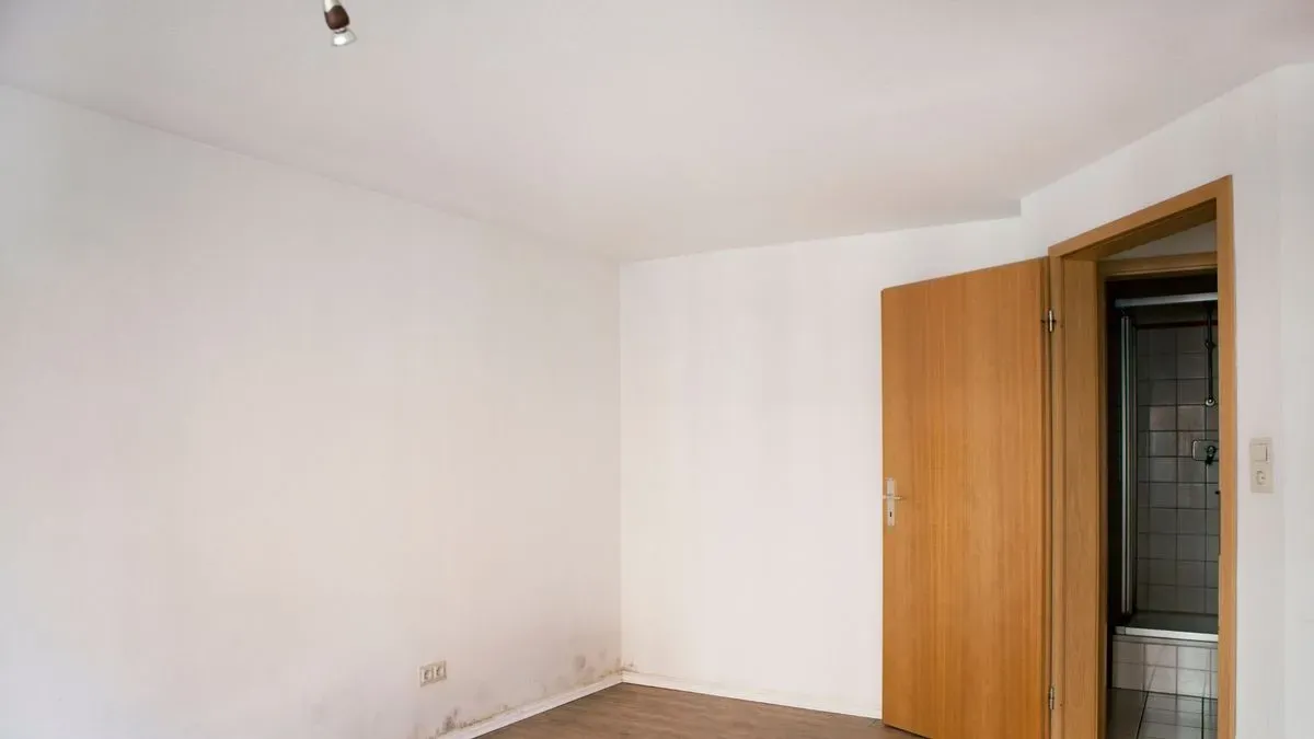 Damp proofing image