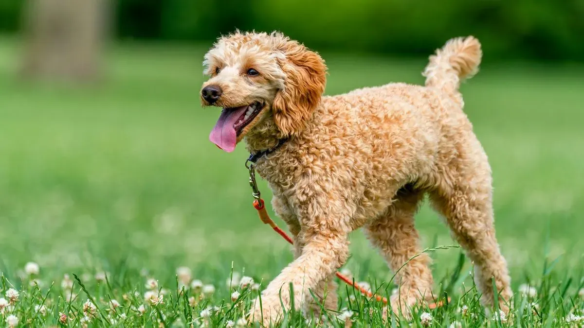 Daily exercise routines image background image