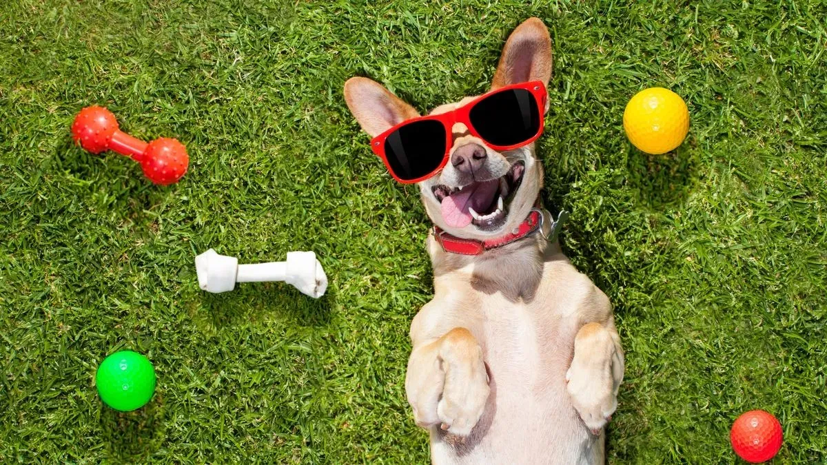 Medication administration image background image