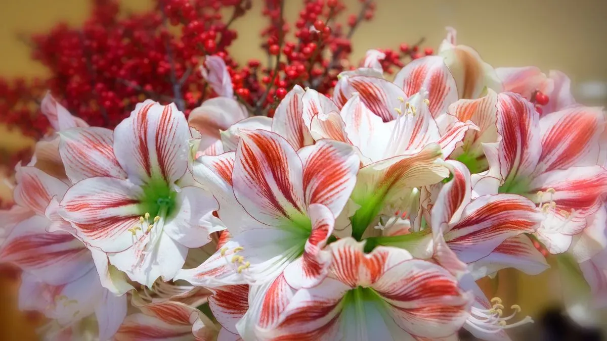 Corporate event flowers image background image