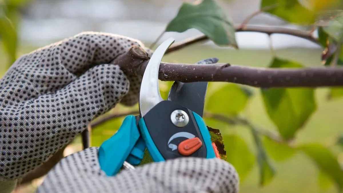 Weeding and edging image background image