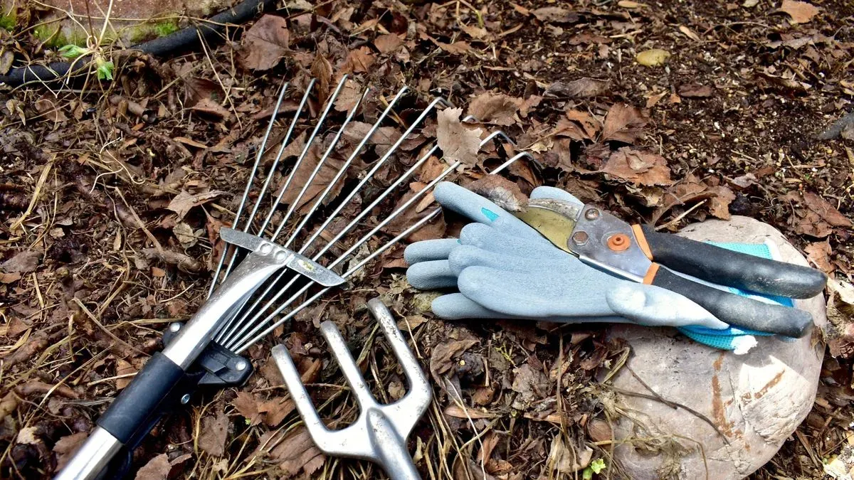 Seasonal garden maintenance image background image