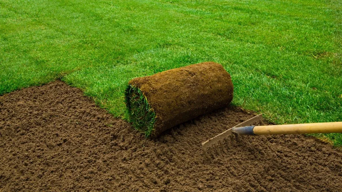 Descriptive text for the image