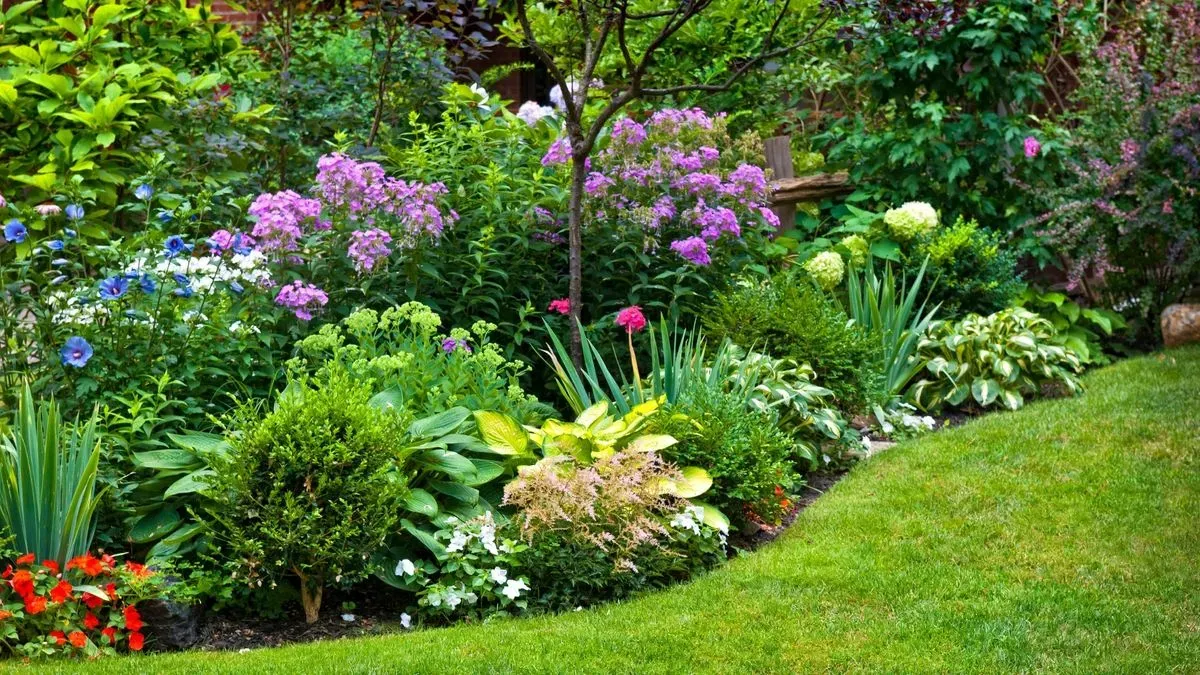 Planting image background image