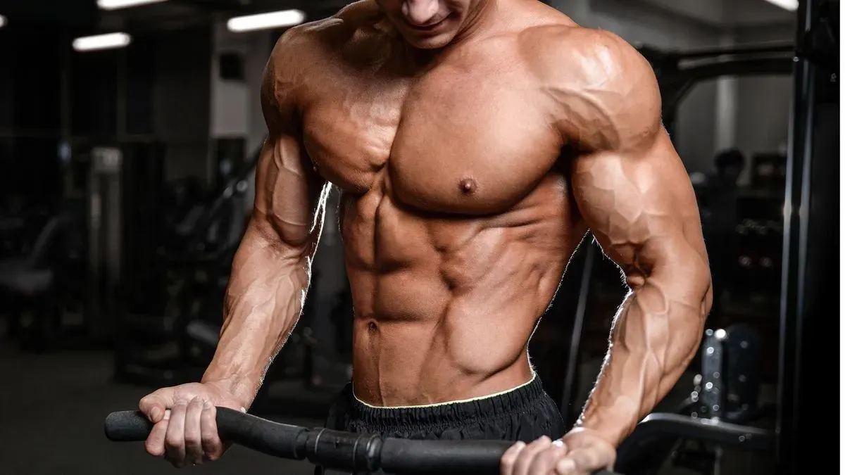 Muscle gain coaching image