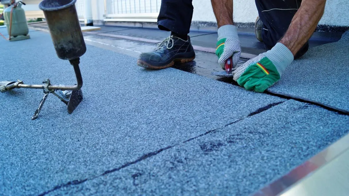 Descriptive text for the image