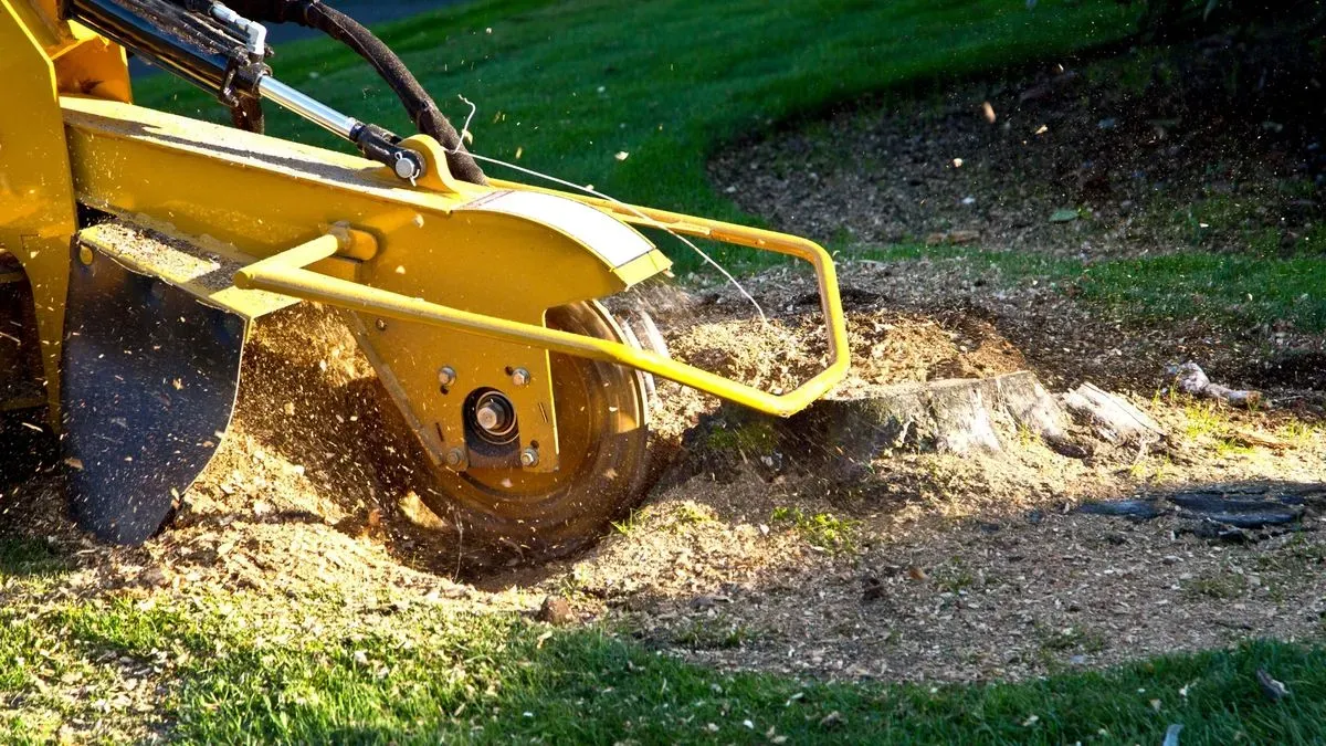Stump removal image background image