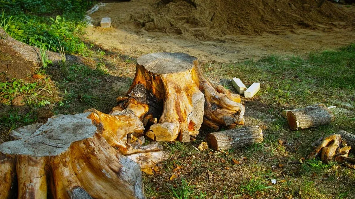 Gallery image 9