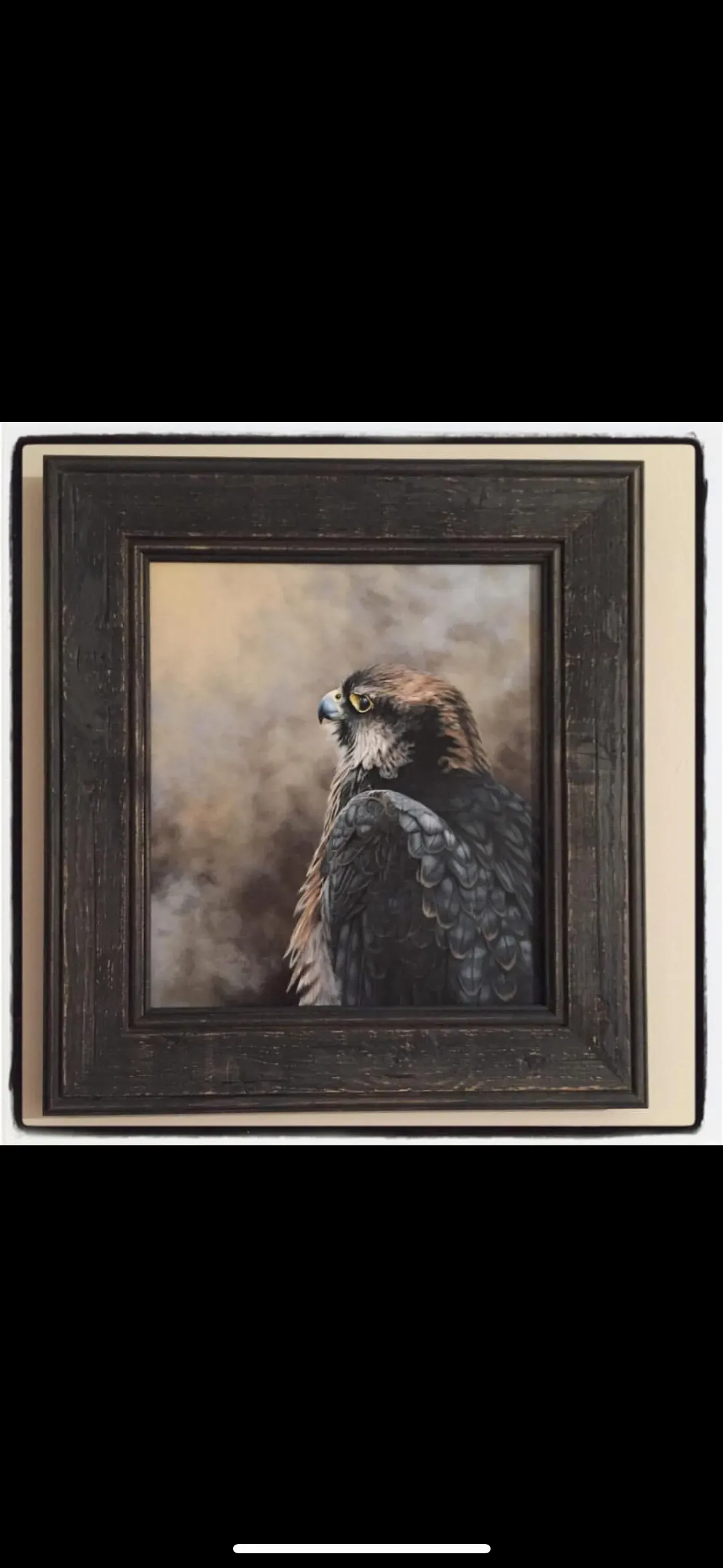 Art Exhibitions image background image