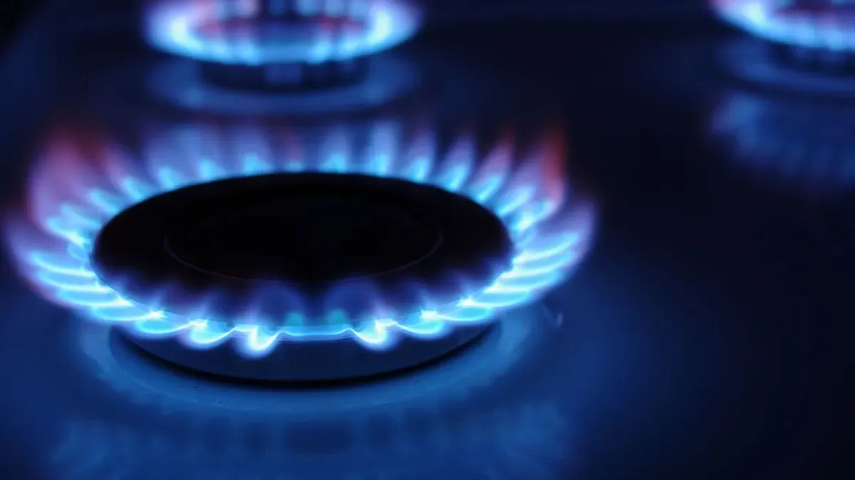 Stylish gas cooker installed in a modern kitchen
