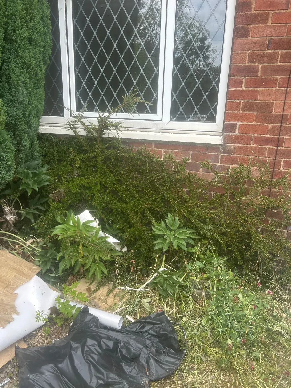 Weeding and Edging