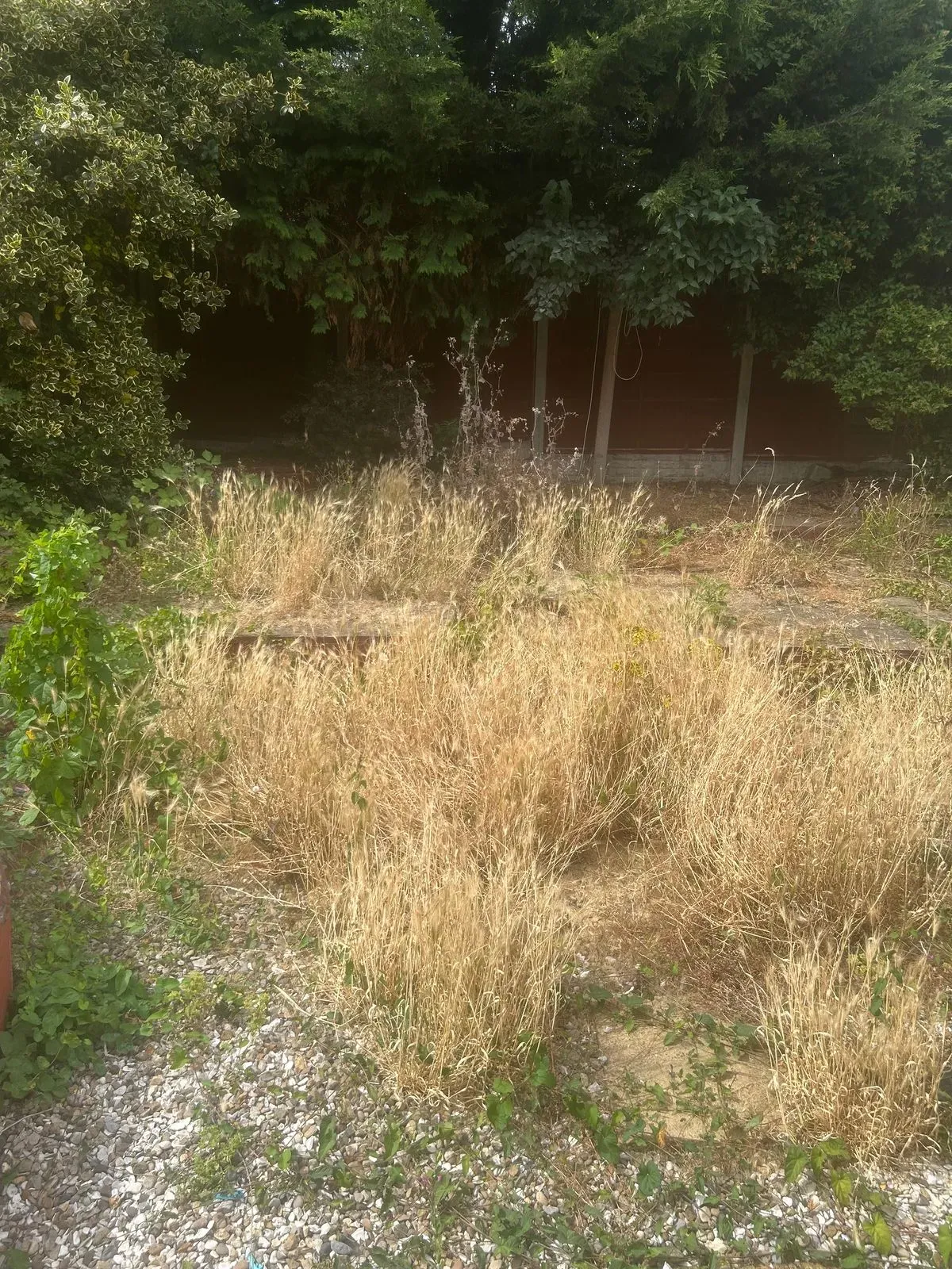 Gallery image 12