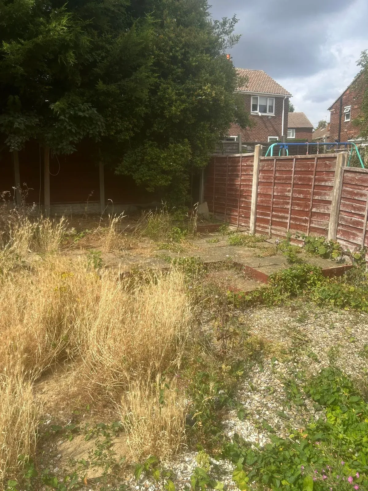 Gallery image 13