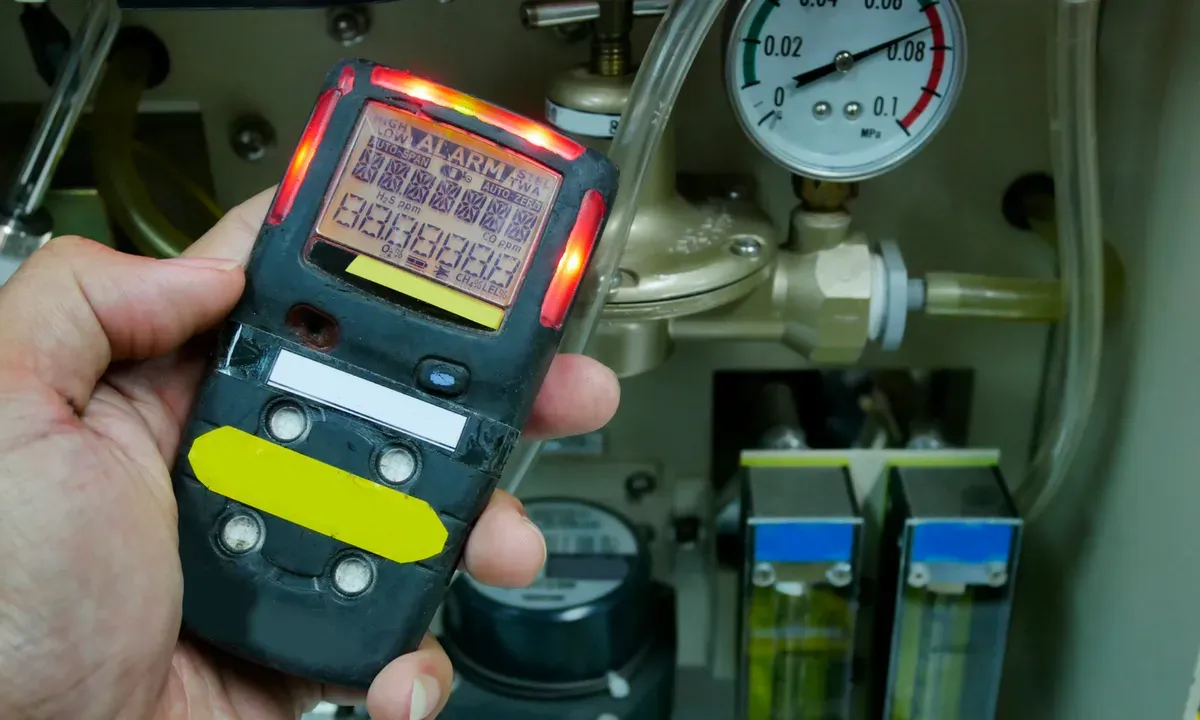 Descriptive text for the image