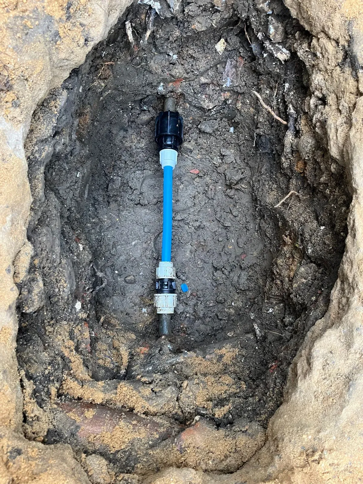 Descriptive text for the image